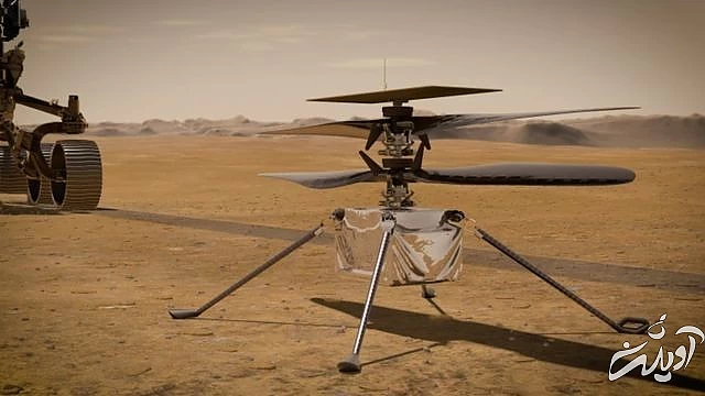 ریزبالگرد اینجنیوئیتی